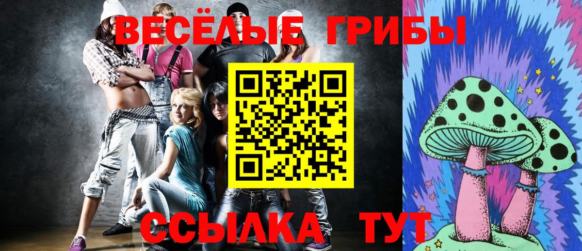Галлюциногенные грибы MAGIC MUSHROOMS  Псилоцибиновые грибы MAGIC MUSHROOMS  как найти наркотики  Рязань  Вход с VPN 